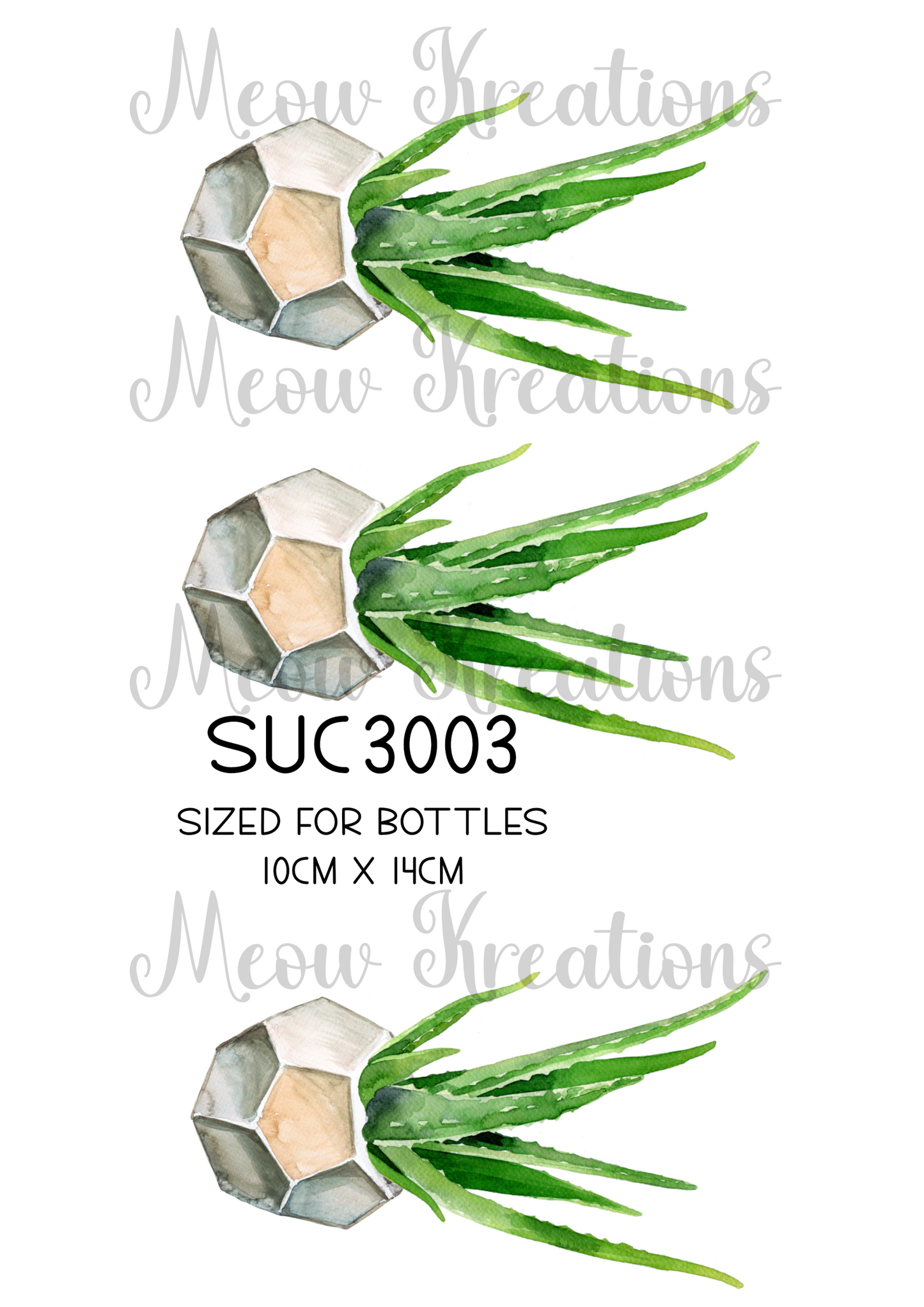 SUC 3003