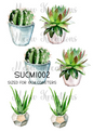 Decoupage Rice Paper - SUCM 1002