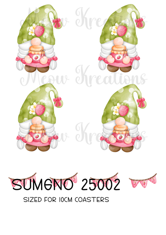 SUMGNO 25002