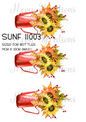 Decoupage Rice Paper - SUNF 11003