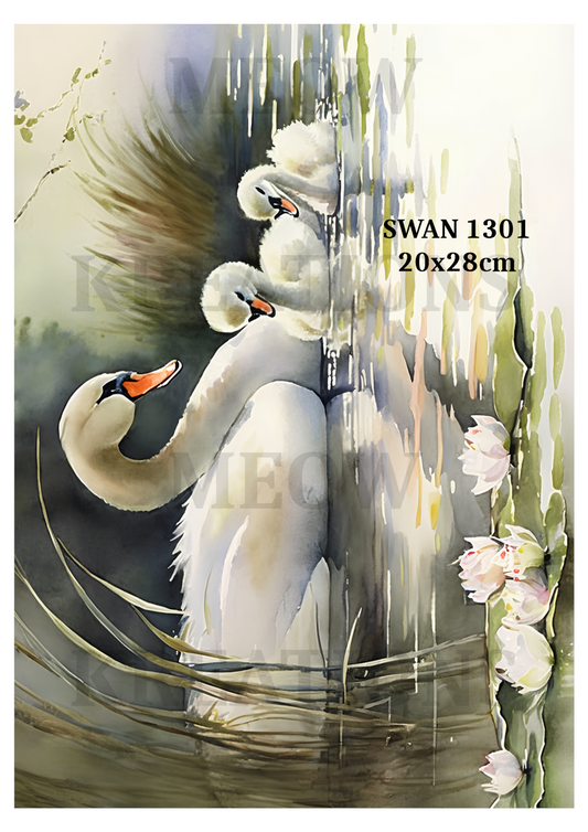 SCHWAN 1301