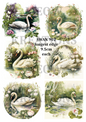 SCHWAN 902