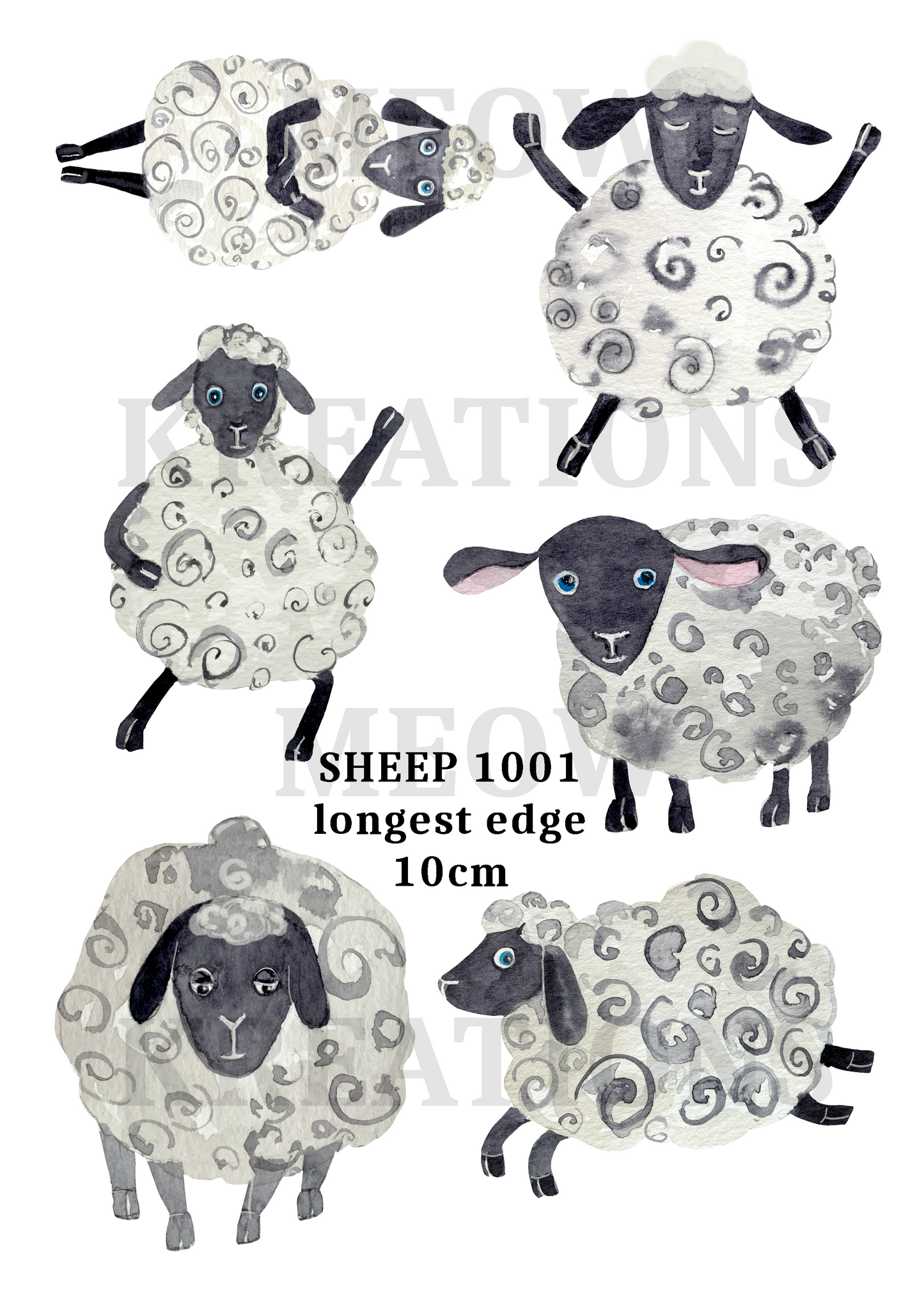 SHEEP 1001