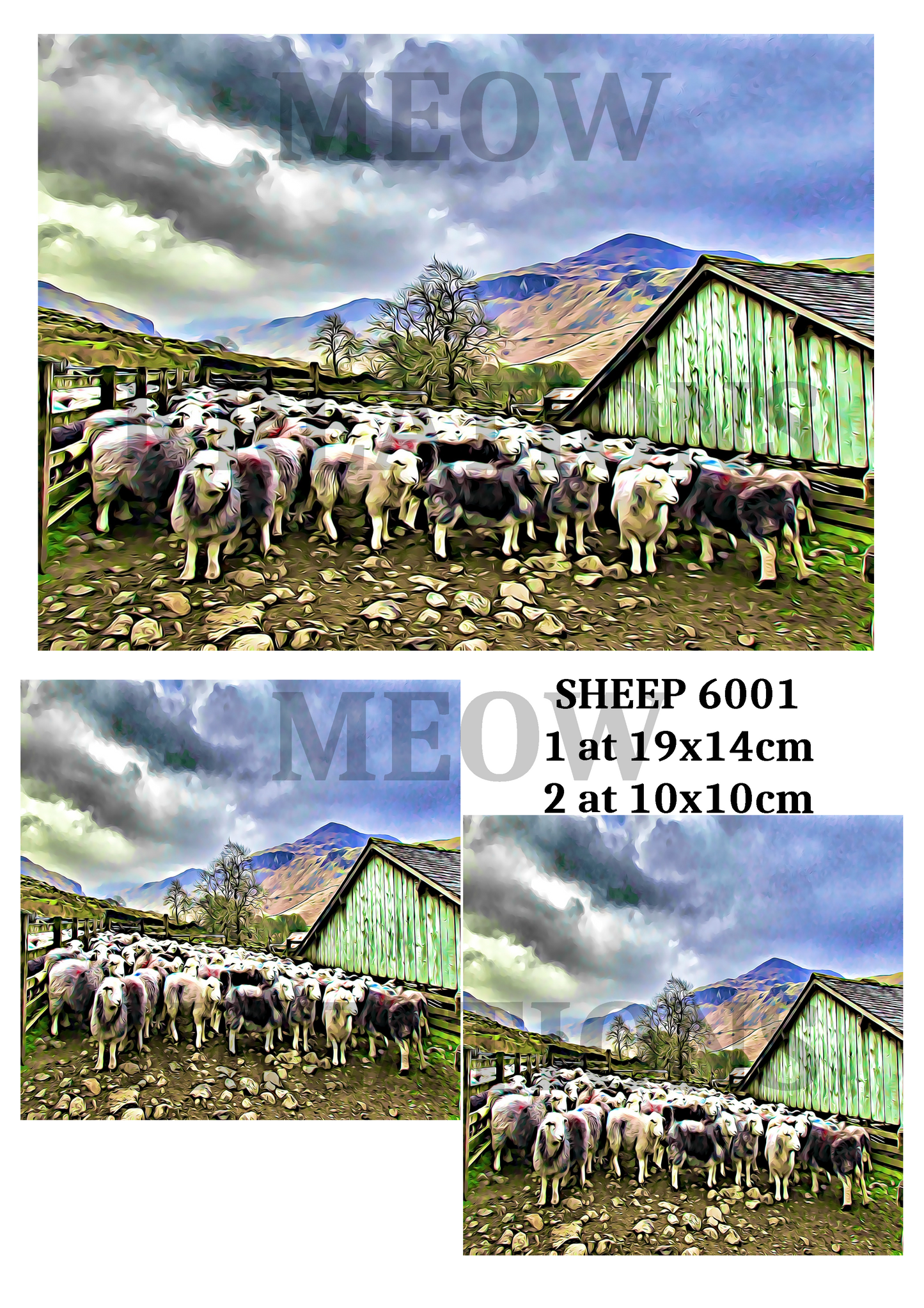 SHEEP 6001