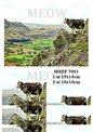 Decoupage Rice Paper - SHEEP 7001