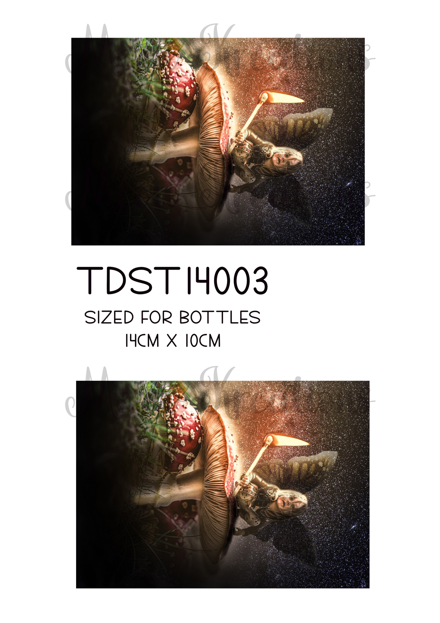 TDST 14003