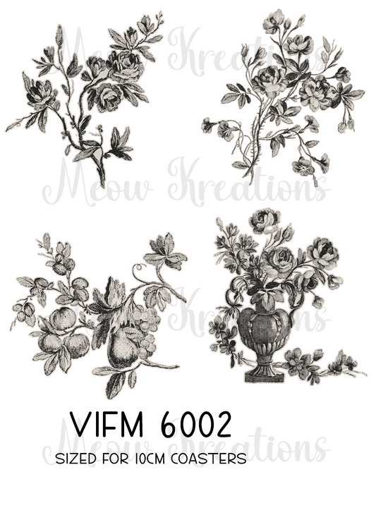 VIFM 6002