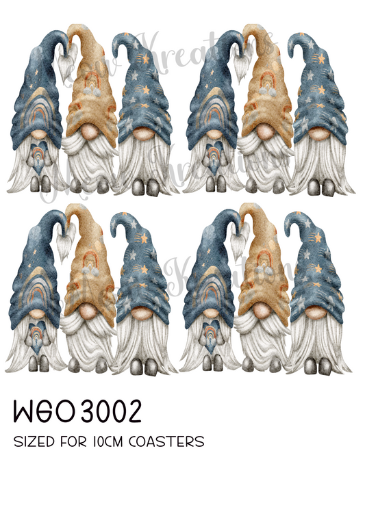 WGO 3002