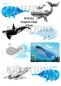 BALLENA 102
