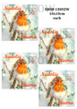 Robin Bird Christmas Welsh Decoupage Rice Paper - XROB 13002W