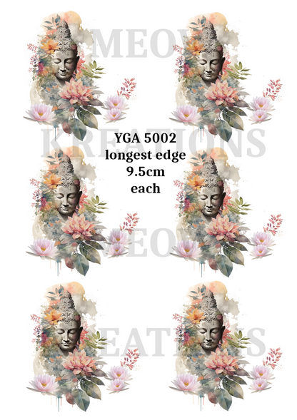 YGA 5002