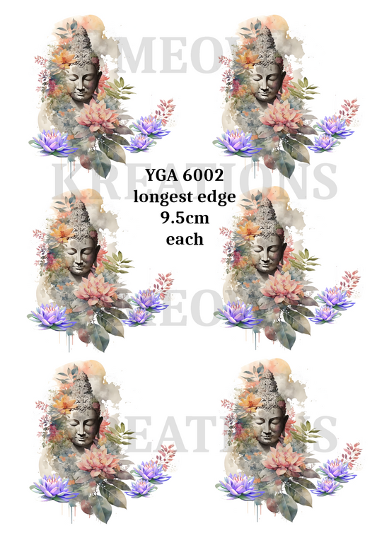 YGA 6002