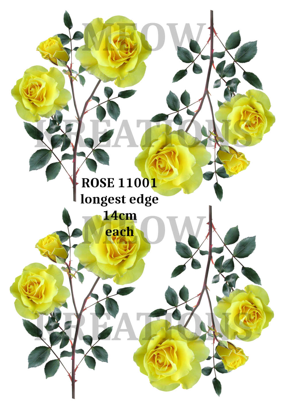 ROSA 11001